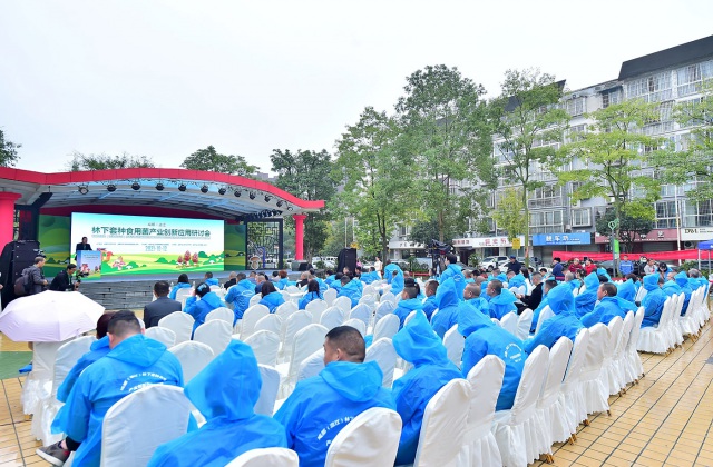溫江區林下套種食用菌創新產業論壇